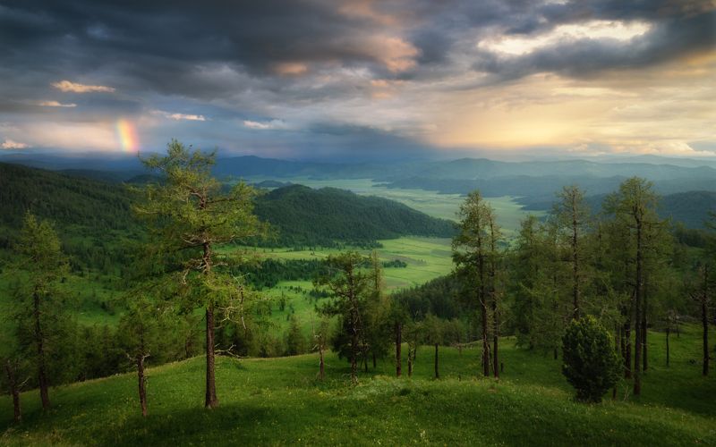 алтай, горный алтай, горы, лето в горах, радуга, грозовое небо, гроза, горная степь, теньгинская степь, онгудайский район, тайга, таежный лес, лиственницы, Небесная драмаphoto preview