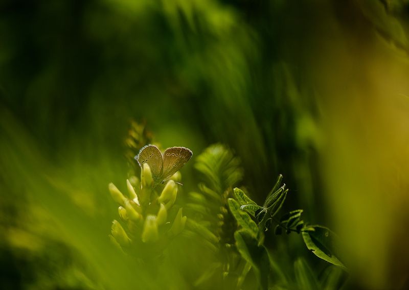 незаметнаяphoto preview