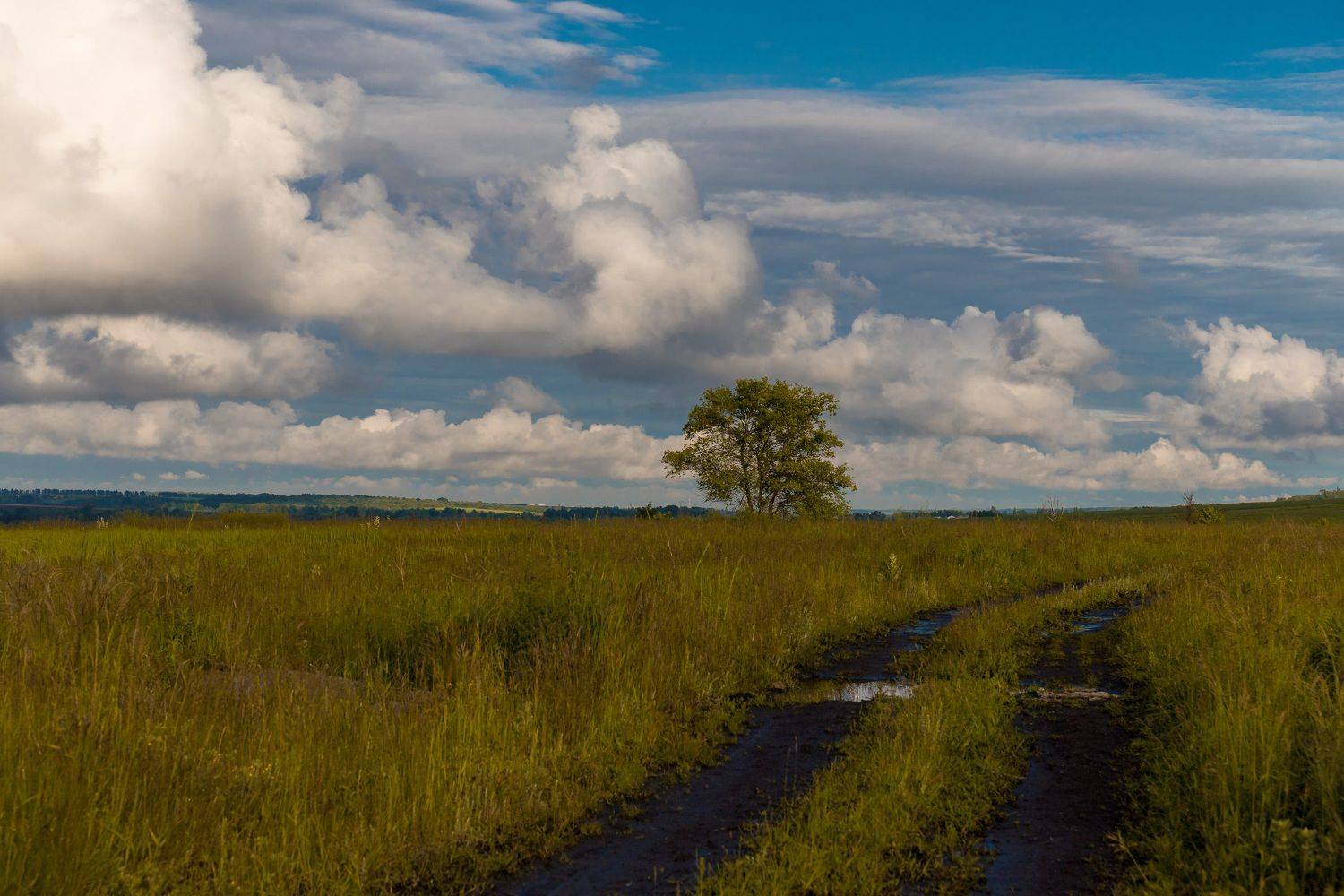 пейзаж, степь, дождь, лето, июнь, landscape, summer, steppe, Алексей Юденков