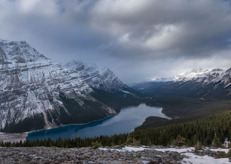 peyto, banff, canada Виды Пейтоphoto preview