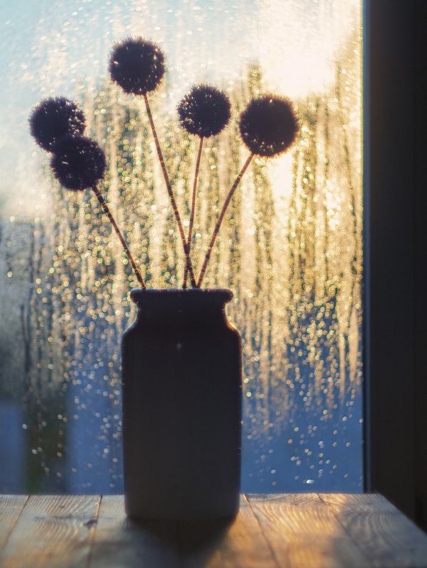 У окна, на закатеphoto preview