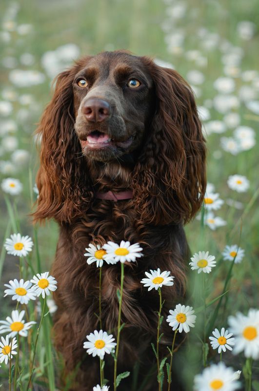 Айтиphoto preview