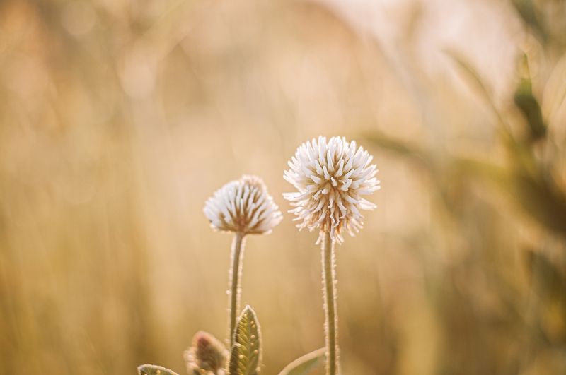 На закате дняphoto preview