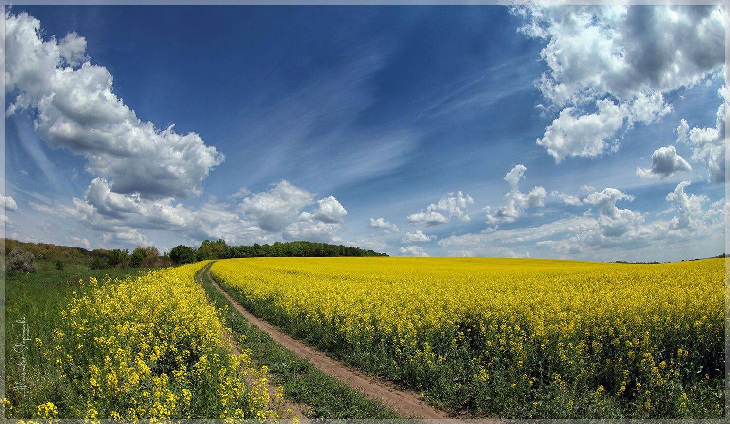 Way. Автор: Alexander Slepcowski sky, Alexander Slepcowski