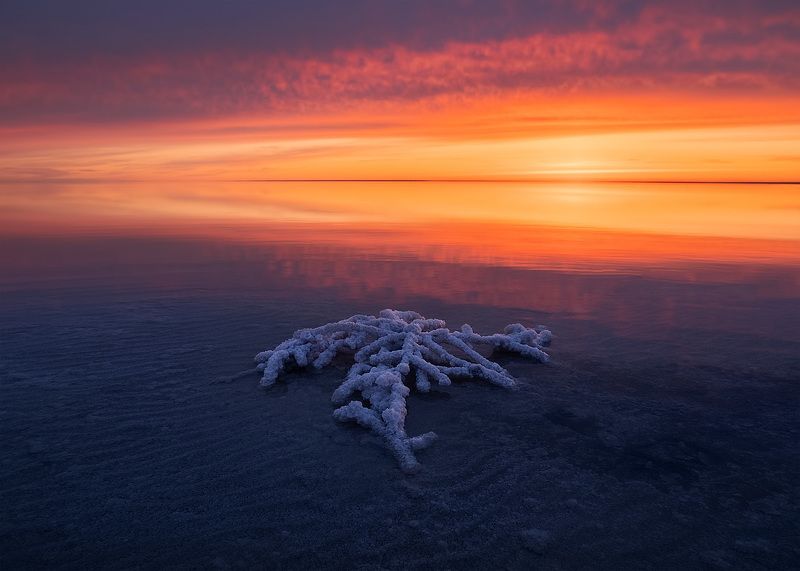 Эльтонphoto preview