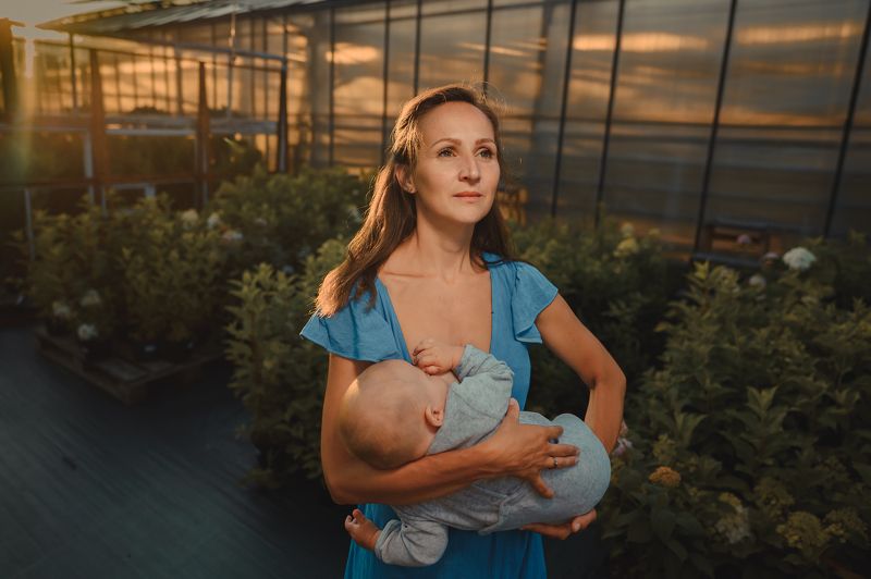 кормление, мать, дитя, ребенок, мама, нежность, семья, любовь Кормление на закатеphoto preview