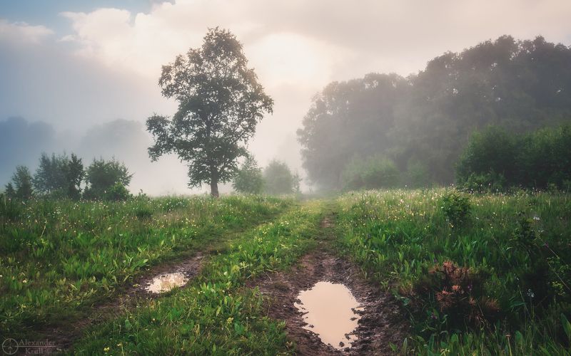 бамбаки Туманным вечером на Бамбакахphoto preview