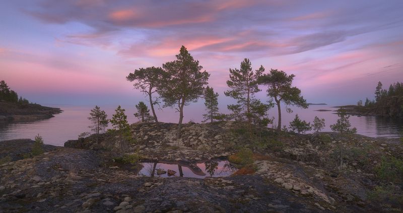 ладога, шхеры, национальный парк ладожские шхеры, сосны, остров, озеро Семьяphoto preview