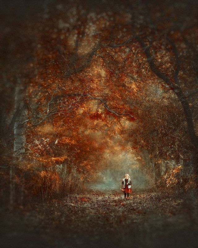 In the forest for mushrooms.photo preview