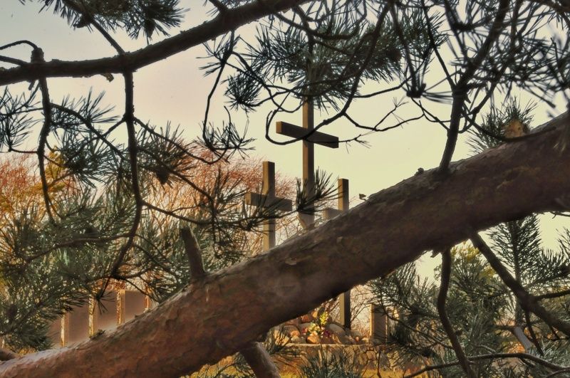 калининград kënigsberg архитектура  город балтийск photo preview