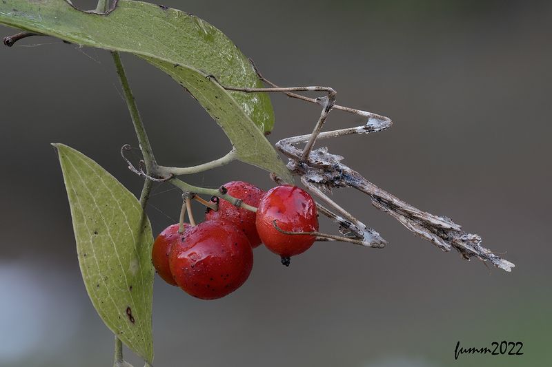 АА ЕСЛИ ТАК?photo preview