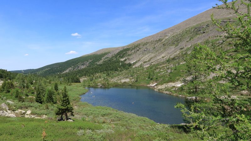 алтай,природа,деревья,озеро,лето,каракольские Природа Алтаяphoto preview