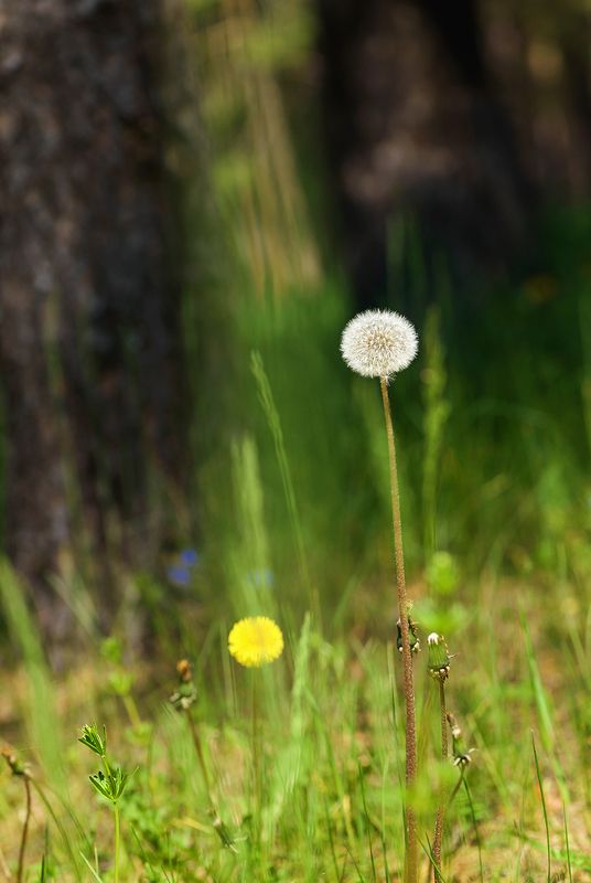 в потоке Времениphoto preview