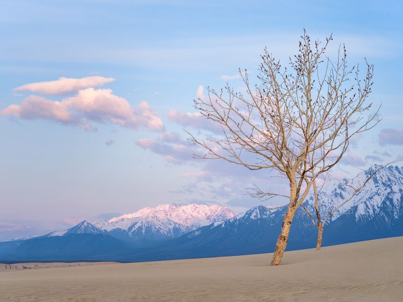 Утро.photo preview