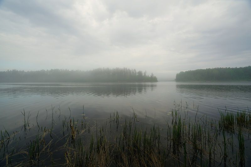 nature, landscape Morningphoto preview