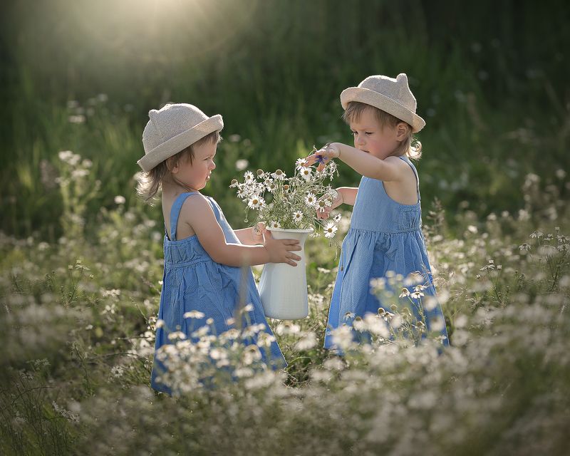 Little girls in chamomilephoto preview