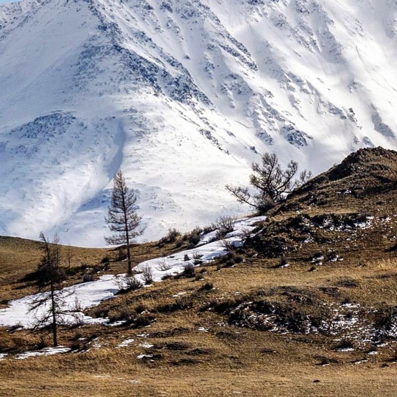 Горы Алтаяphoto preview