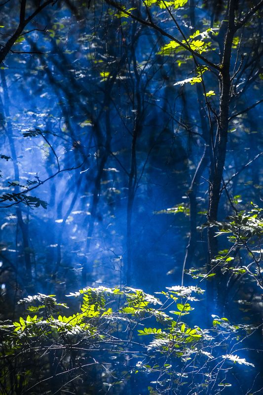 Пейзаж Дебриphoto preview