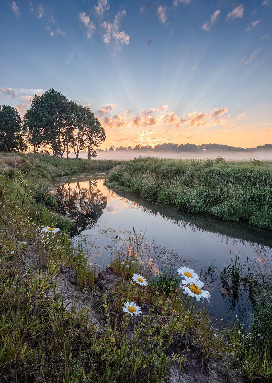 , Николай Андреев