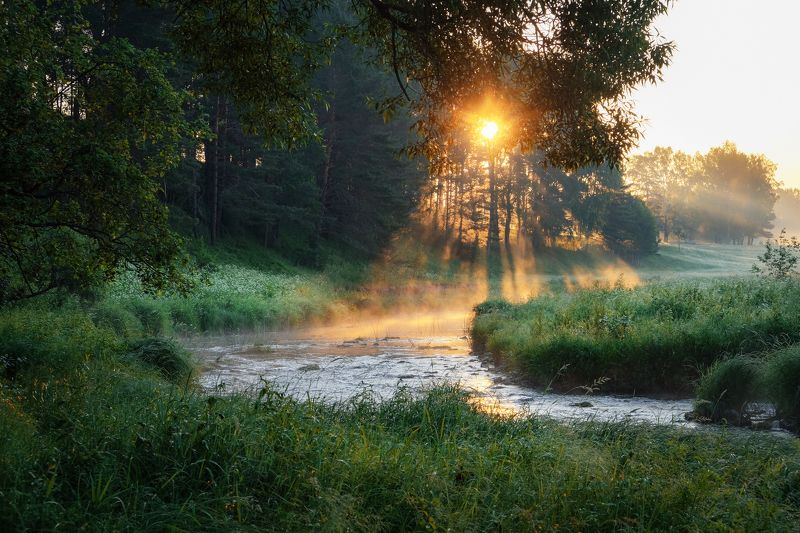 Утренняя негаphoto preview