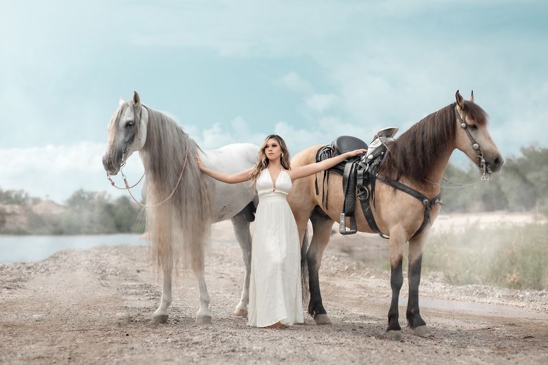 horse Rosyphoto preview