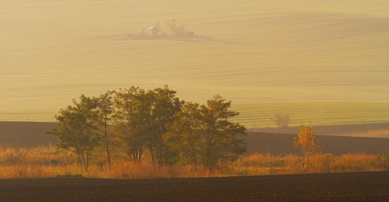 And the mornings are quiet herephoto preview