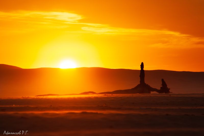 песок, закат, дерево Пустынный закат в Сибириphoto preview