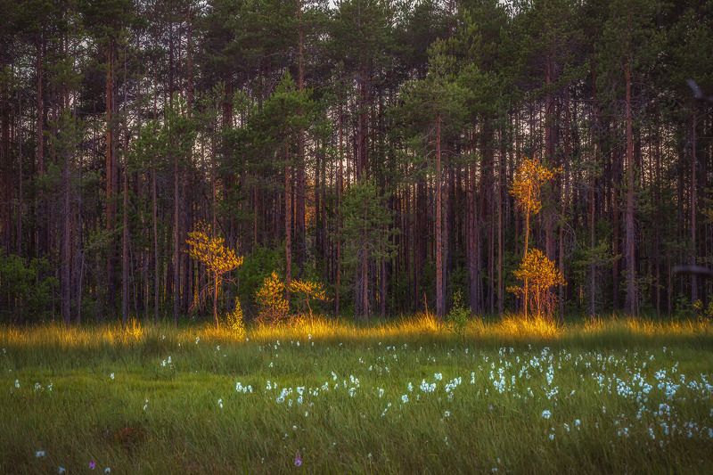 Больто ,закат дня , пушитца на закате дняphoto preview