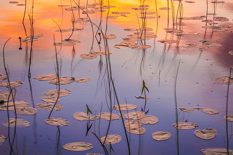 По стопам Монеphoto preview