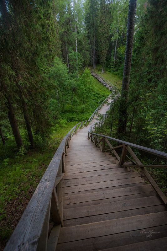 щелыково, кострома, костромская область,никола-бережки Лестница в сказку. Никола-Бережкиphoto preview
