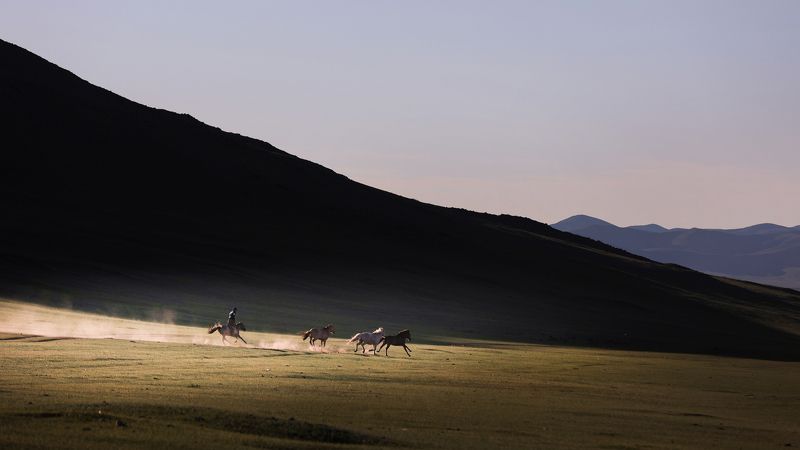 monggolphoto preview