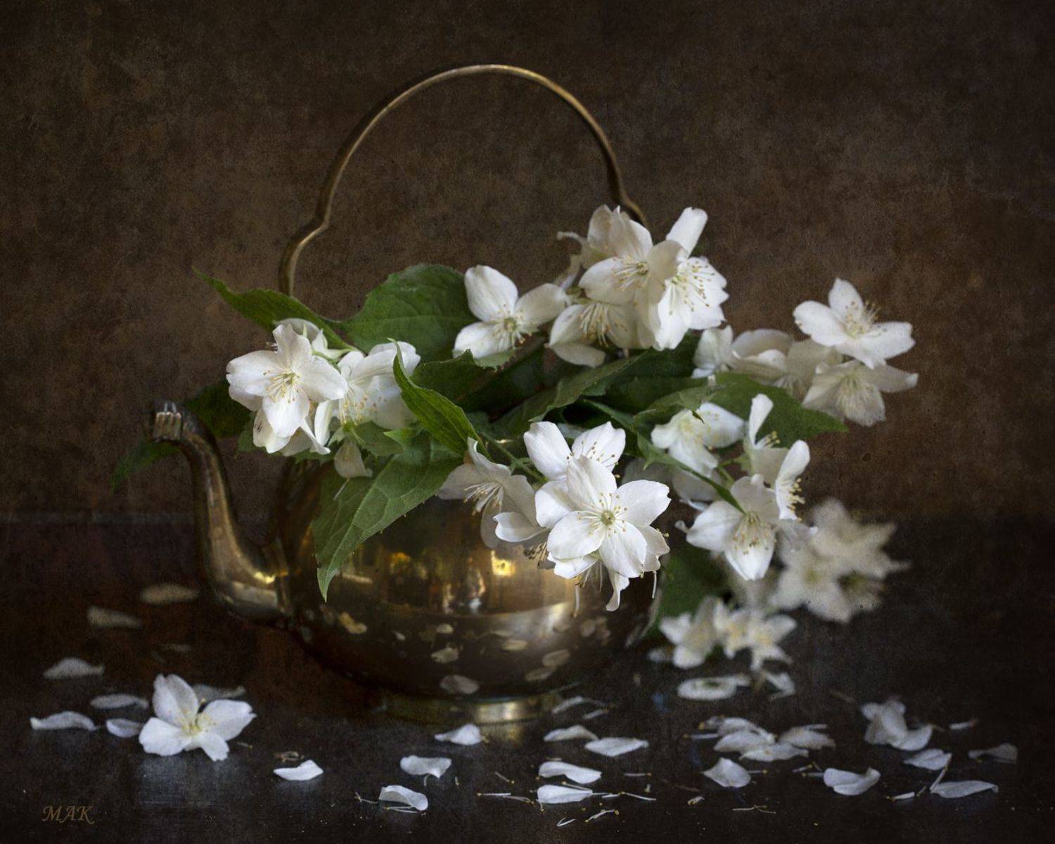 Автор: Марина Кулакова , Марина Кулакова