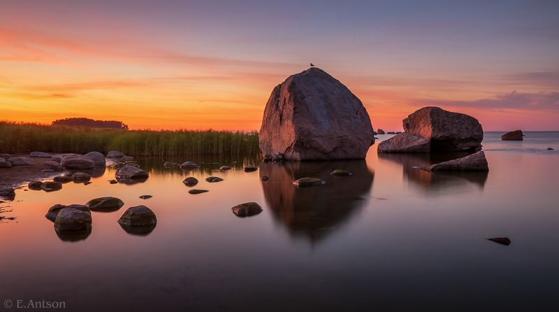 пейзаж, природа, море, эстония Спящие гиганты в белой ночи фото превью