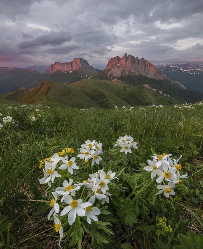 западный кавказ , ачешбок, чертовы ворота, природный парк, большой тхач,ветреница, рассвет, лето, июнь Ачешбок в багровых тонахphoto preview