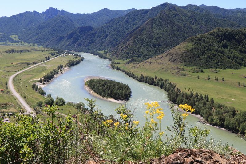 природа,островок,река,катунь,алтай Островокphoto preview