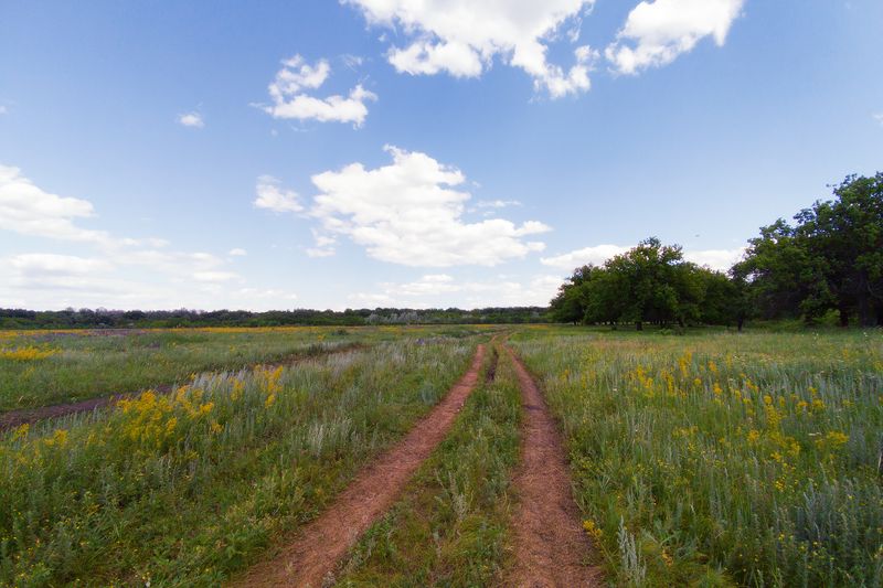 Дорога в облакаphoto preview