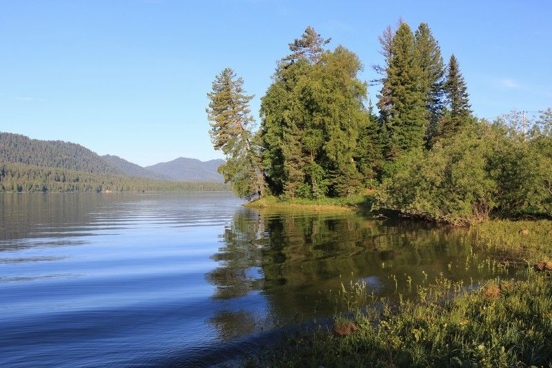 отражение,телецкоеозеро,природа,лето,деревья,волны,изгибы Отражениеphoto preview