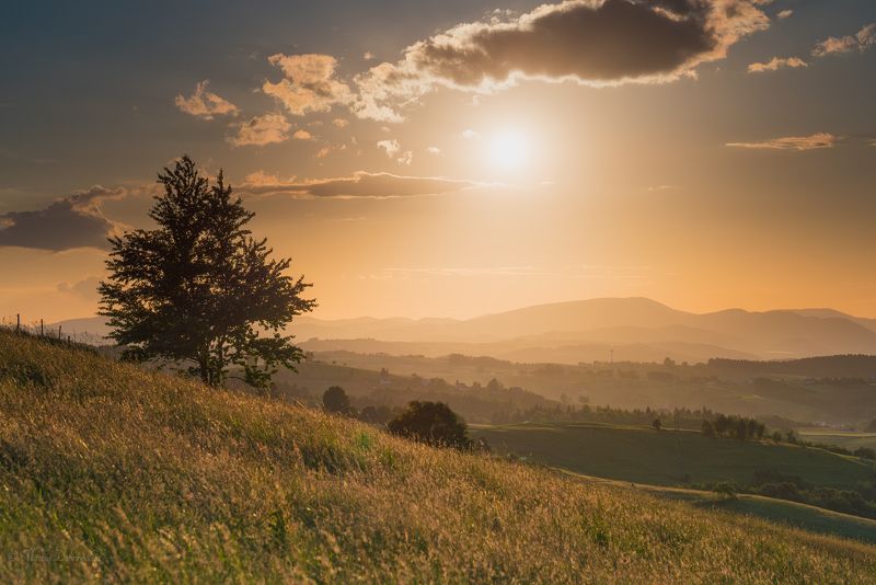 poland, photographer, discoverearth, amazingshots, polishexplorers, nikonpoland, discoverpoland, europetravel, exploretocreate, traveltheworld, landscapelovers, nature, natureshot, landscape, landscapephotography, mountains, ilovemountains, beskidsądecki, The Slope Guardianphoto preview