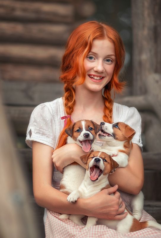 Рыжикиphoto preview