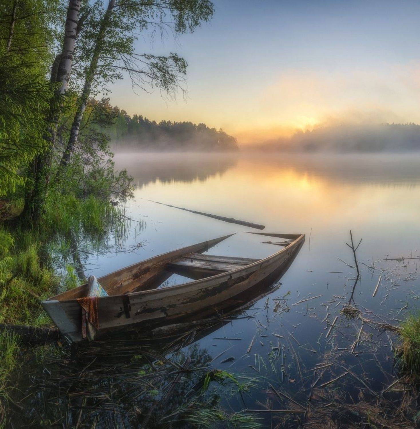 Умиротворение летнего утра. Автор: Михаил , Михаил