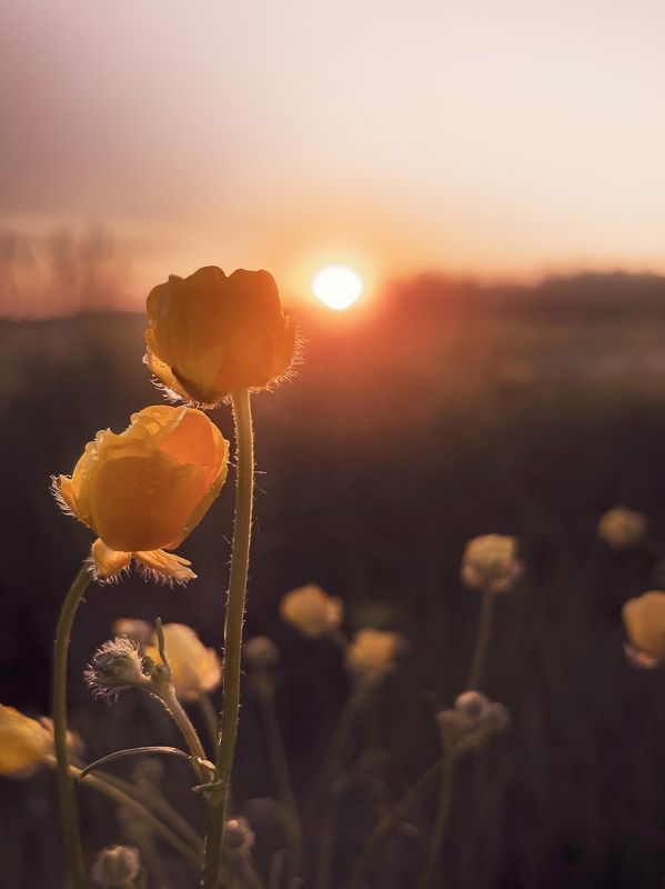 My landscape’sphoto preview