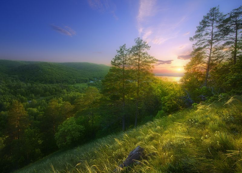 Золотым, тёплым светом.photo preview