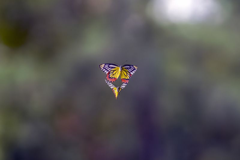 The Beauty of Naturephoto preview