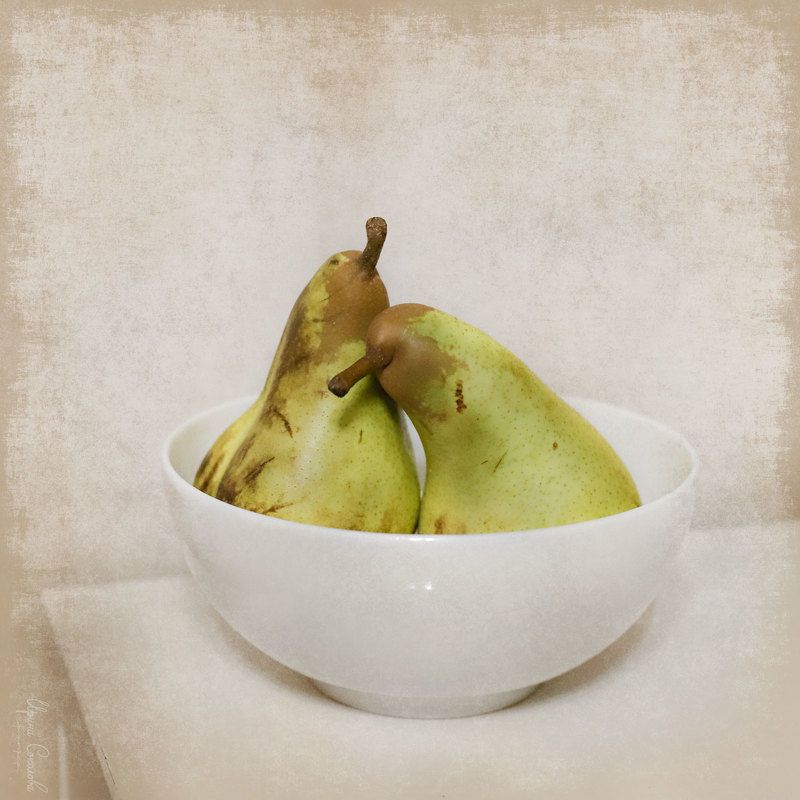 груши отношения пара семья любовь Пара грушphoto preview