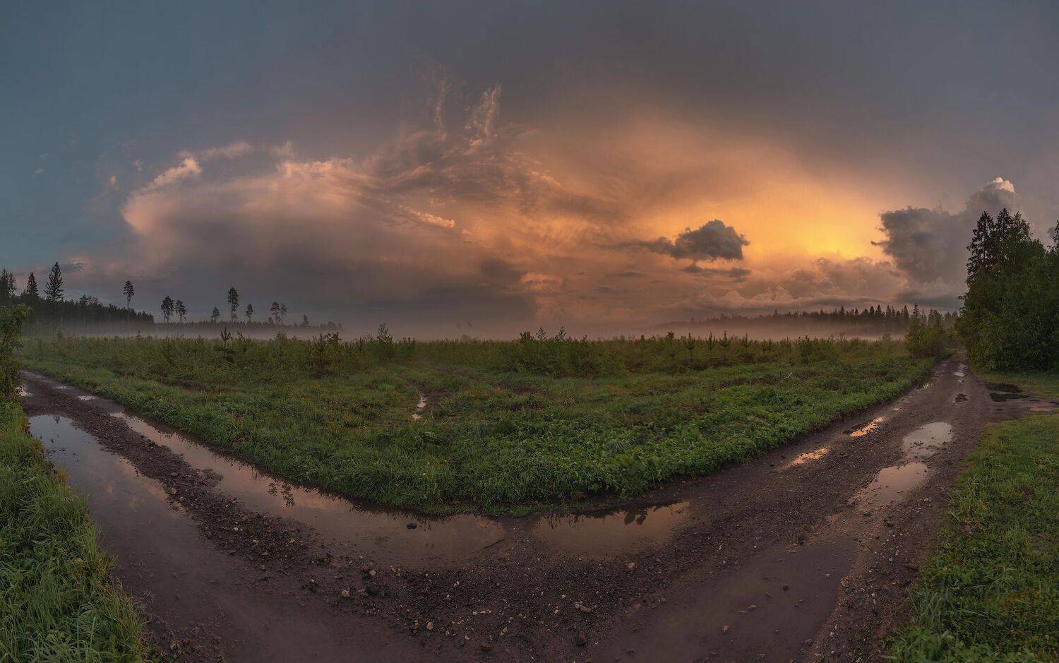 Улыбка лета. Автор: Константин Дэм , Константин Дэм