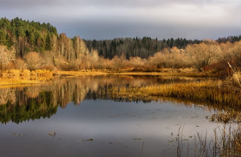 осень сентябрь река уйма берег вода отражения кусты деревья тишина Уйма осенняяphoto preview