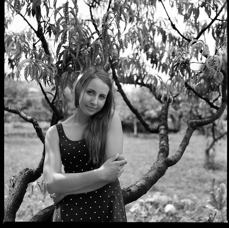 hasselblad2000fcw, planar, 80mm, пленка, аналог, средний, формат, 120мм Персиковое настроениеphoto preview