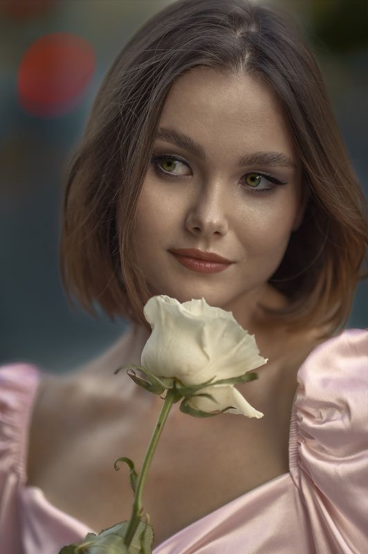 Белая роза  .  .  .photo preview