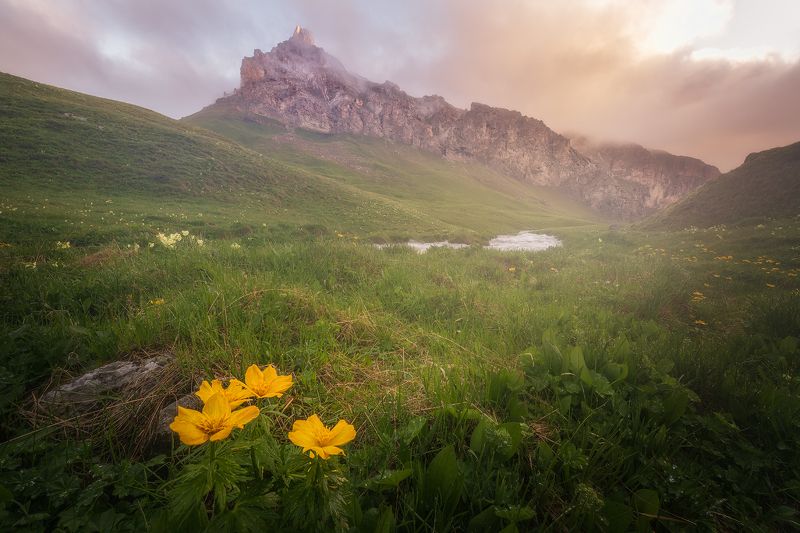 горы, россия, кавказ, северная осетия, природа, утро, цветы, сергейалтушкин, тоторс Гора Тоторс фото превью