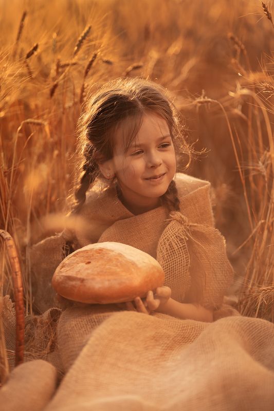 Wheat Fieldphoto preview